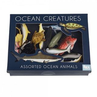 Rex London Ocean Animals Box of 16