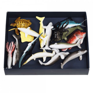 Rex London Ocean Animals Box of 16