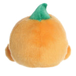 Aurora Palm Pals - Carver Jack O'Lantern
