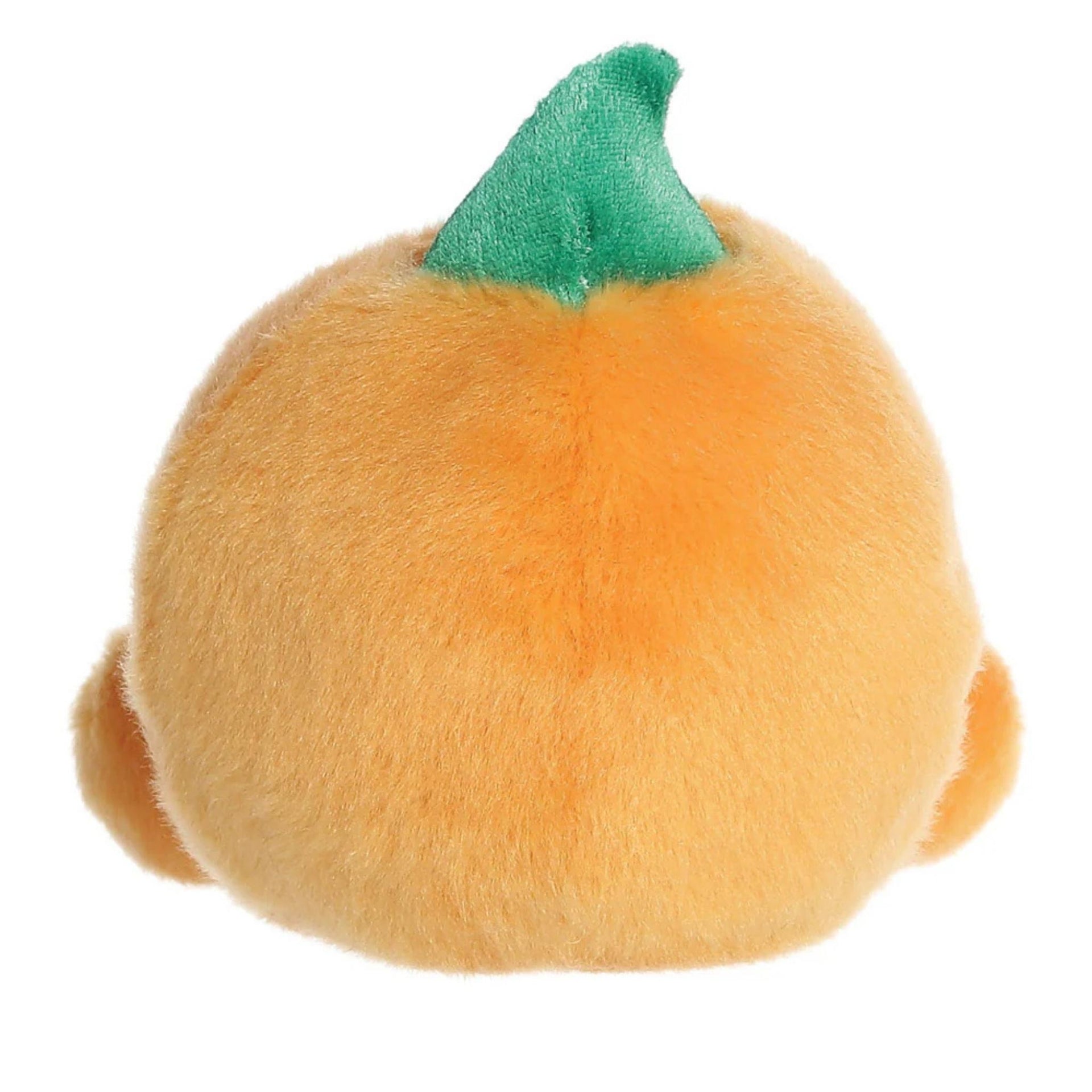 Aurora Palm Pals - Carver Jack O'Lantern