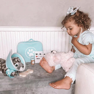 Bigjigs Toys Veterinary Set