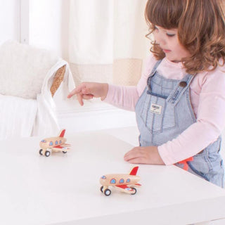 Bigjigs Toys Pull Back Plane