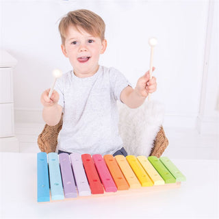 Bigjigs Toys Rainbow Xylophone