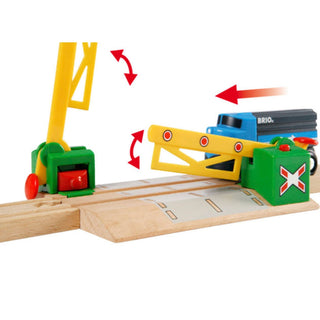 BRIO Magnetic Action Crossing