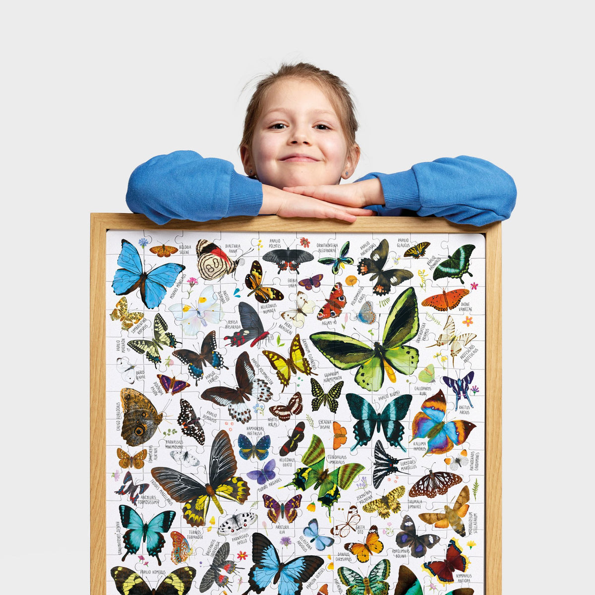 Banana Panda Puzzlove Butterflies