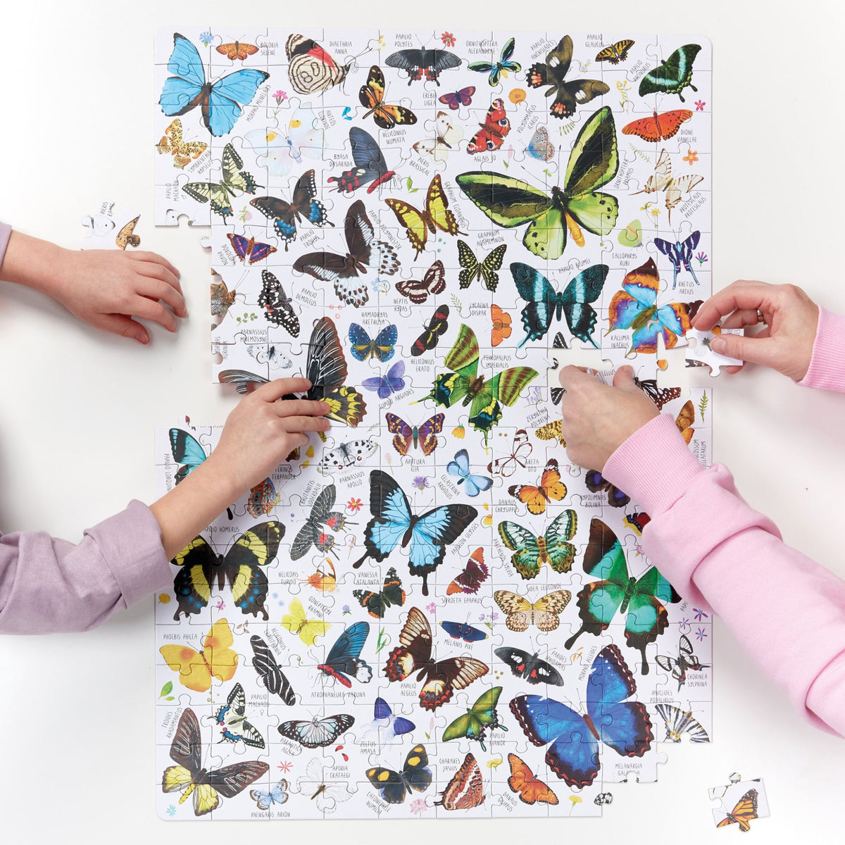 Banana Panda Puzzlove Butterflies