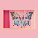 Billes & Co Marbles Butterfly Anamorphic Box