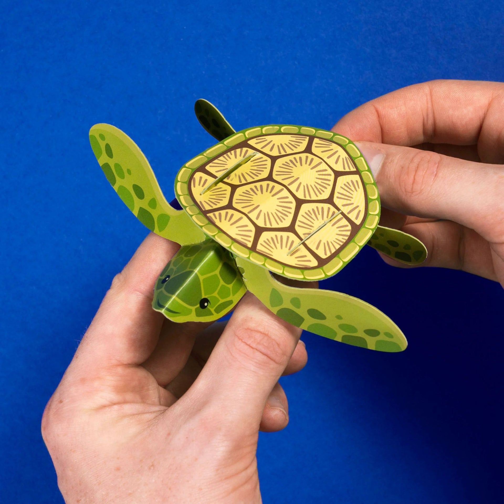 Clockwork Soldier Create Your Own Tiny Turtle