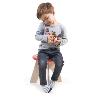 Tender Leaf The Hummingbird Doll Family