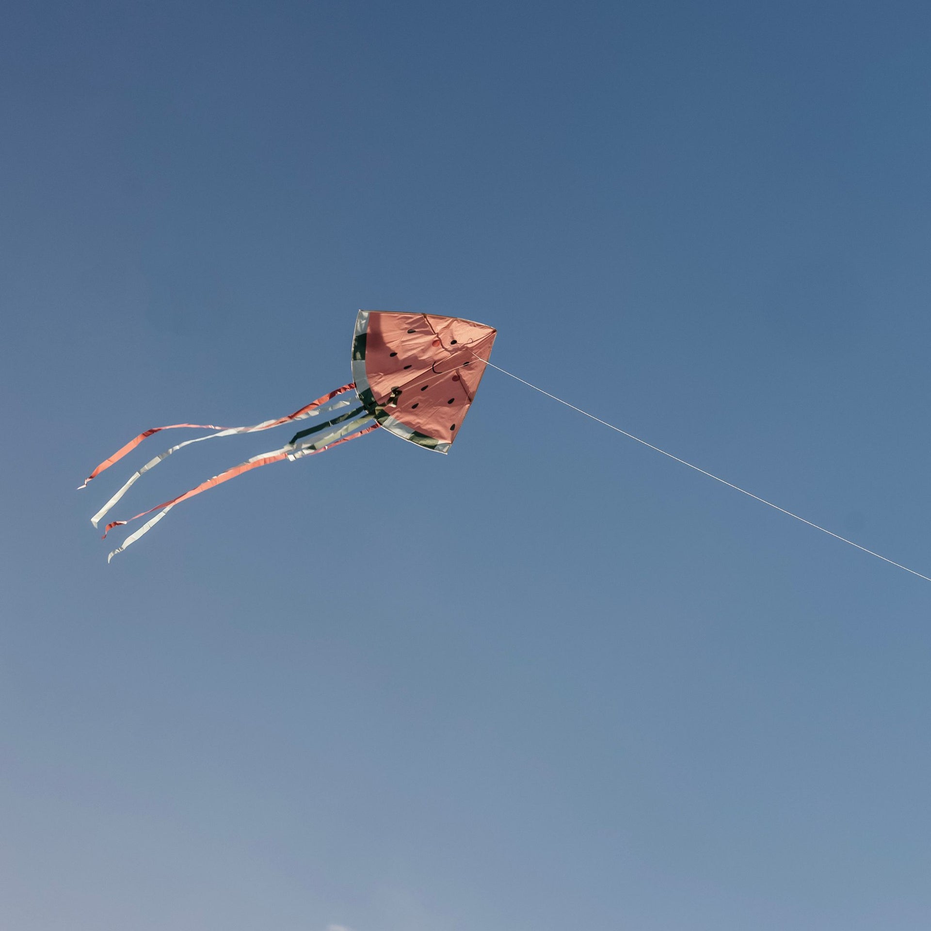 Jabadabado Watermelon Kite