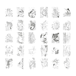 Kidywolf Kidydraw Pad - Animals