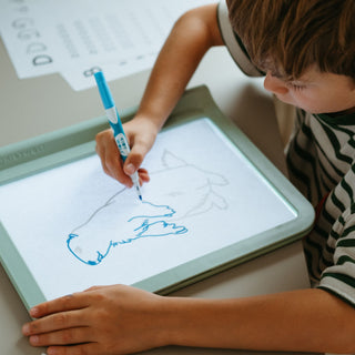 Kidywolf Kidydraw Pro