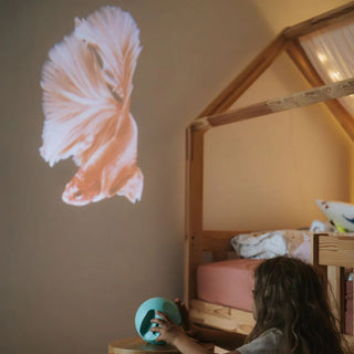 Kidywolf Projector - Oceans and Seas