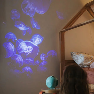 Kidywolf Projector - Oceans and Seas