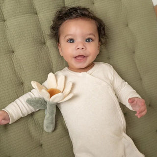 Little Dutch Rattle Flower - Little Farm