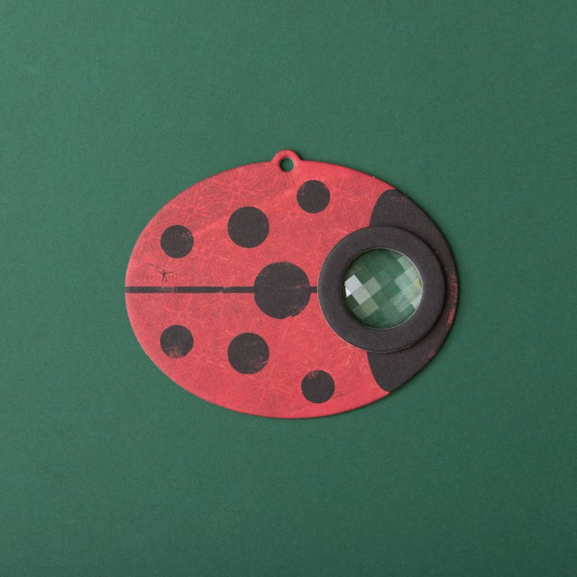 Londji Ladybird Insect Eye