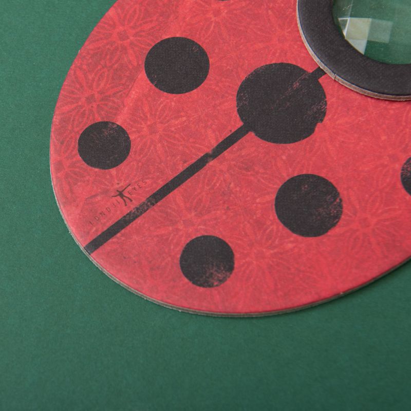 Londji Ladybird Insect Eye