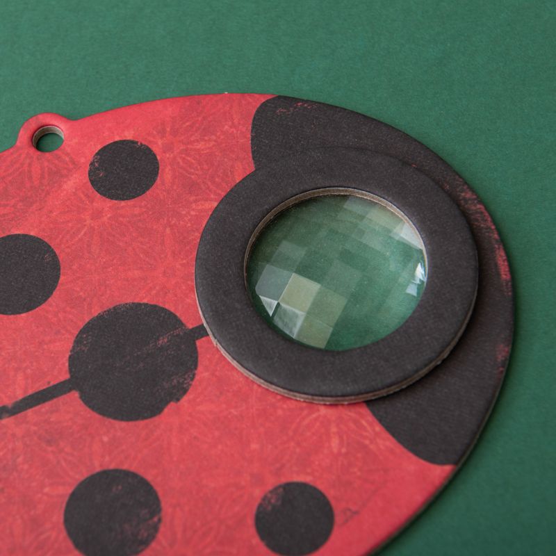 Londji Ladybird Insect Eye
