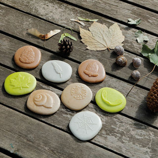 Yellow Door Let's Investigate - Nature