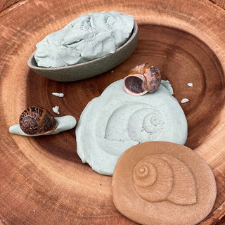 Yellow Door Let's Investigate - Nature