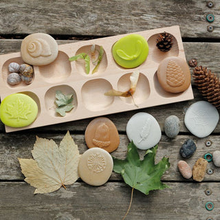 Yellow Door Let's Investigate - Nature