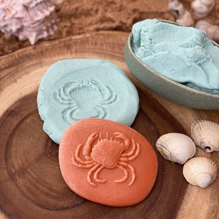 Yellow Door Let's Investigate - Seashore