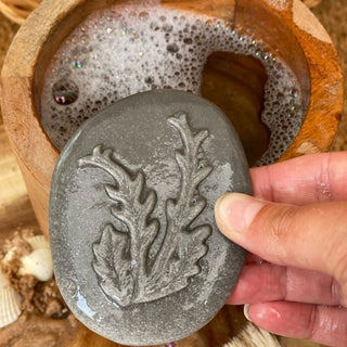 Yellow Door Let's Investigate - Seashore