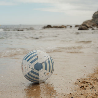 Little Dutch Beachball - Ocean World