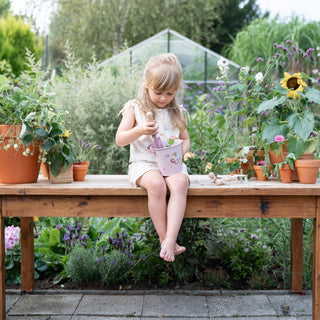 Little Dutch Bucket - Fairy Garden