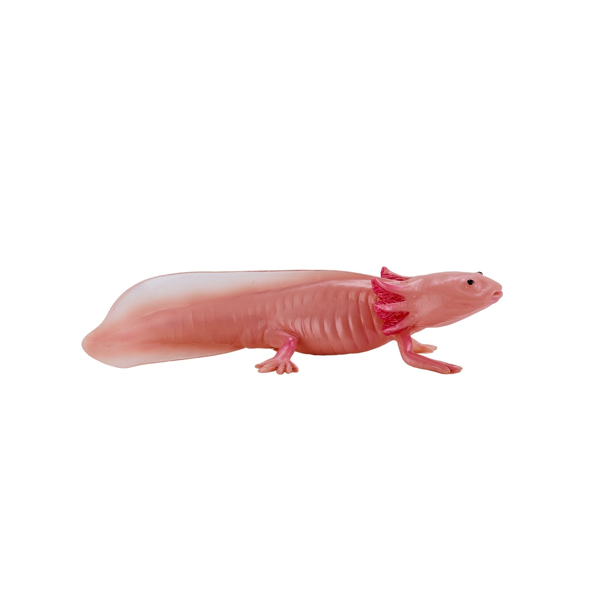 Mojo Axolotl