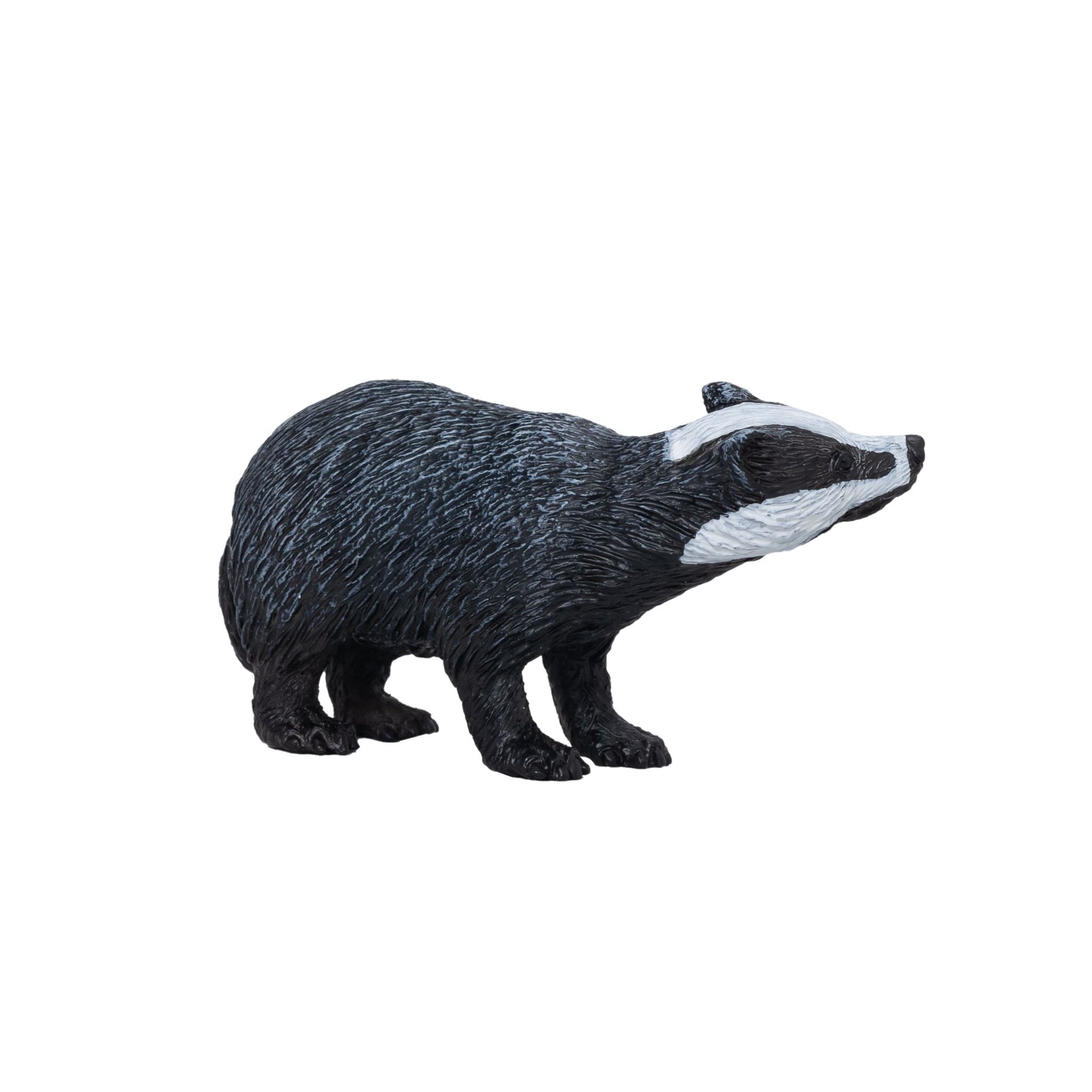 Mojo Badger
