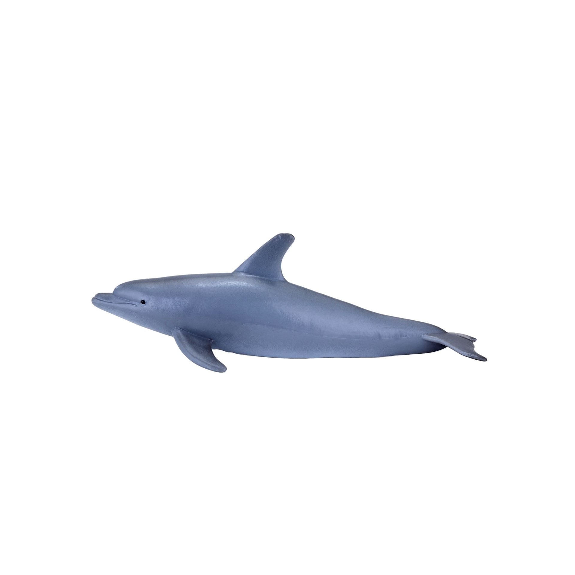 Mojo Bottlenose Dolphin