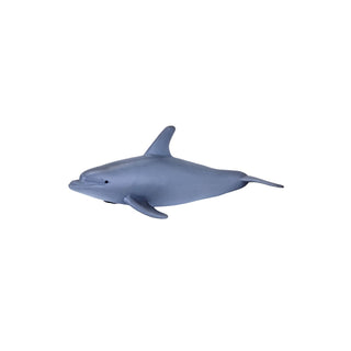 Mojo Bottlenose Dolphin