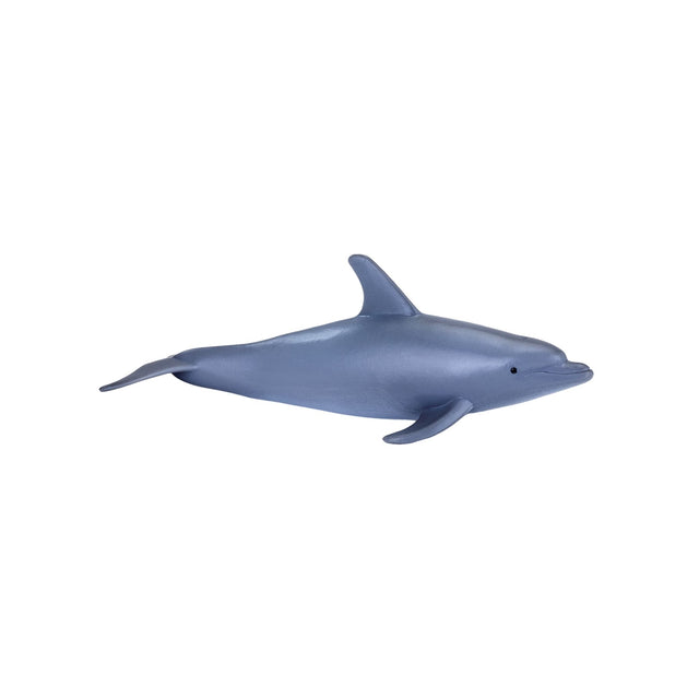 Mojo Bottlenose Dolphin