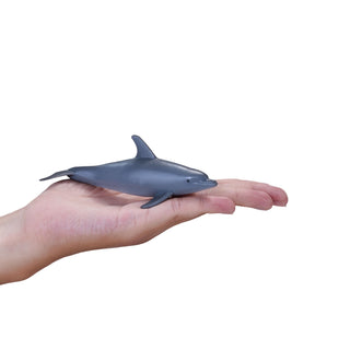 Mojo Bottlenose Dolphin