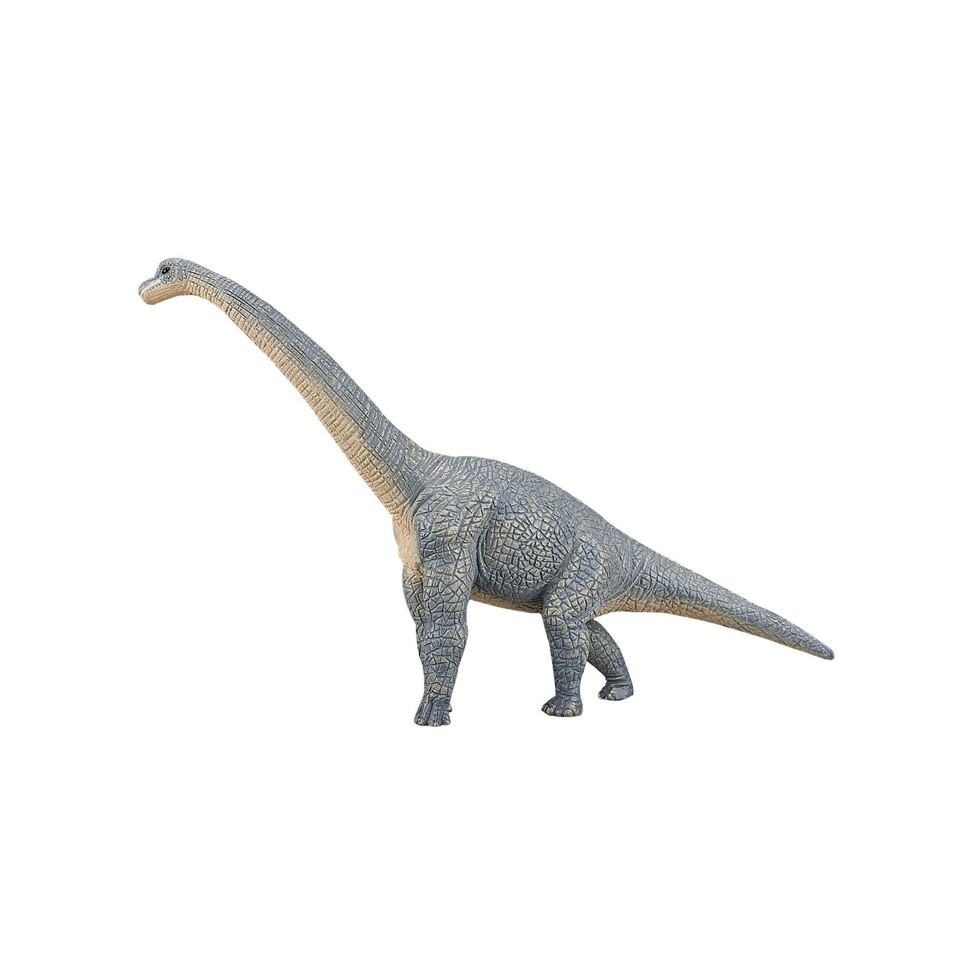 Mojo Brachiosaurus
