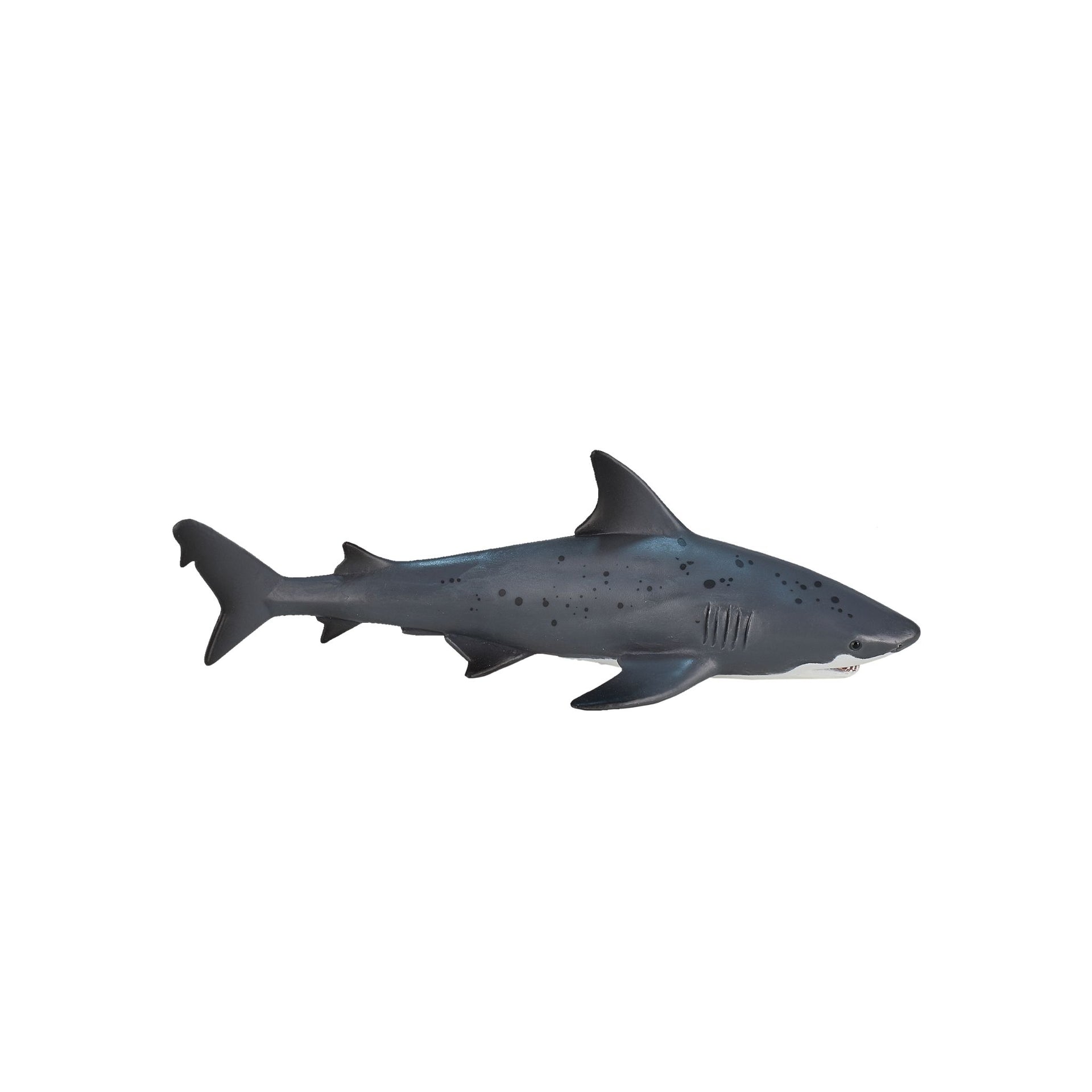 Mojo Bull Shark