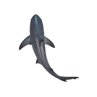 Mojo Bull Shark