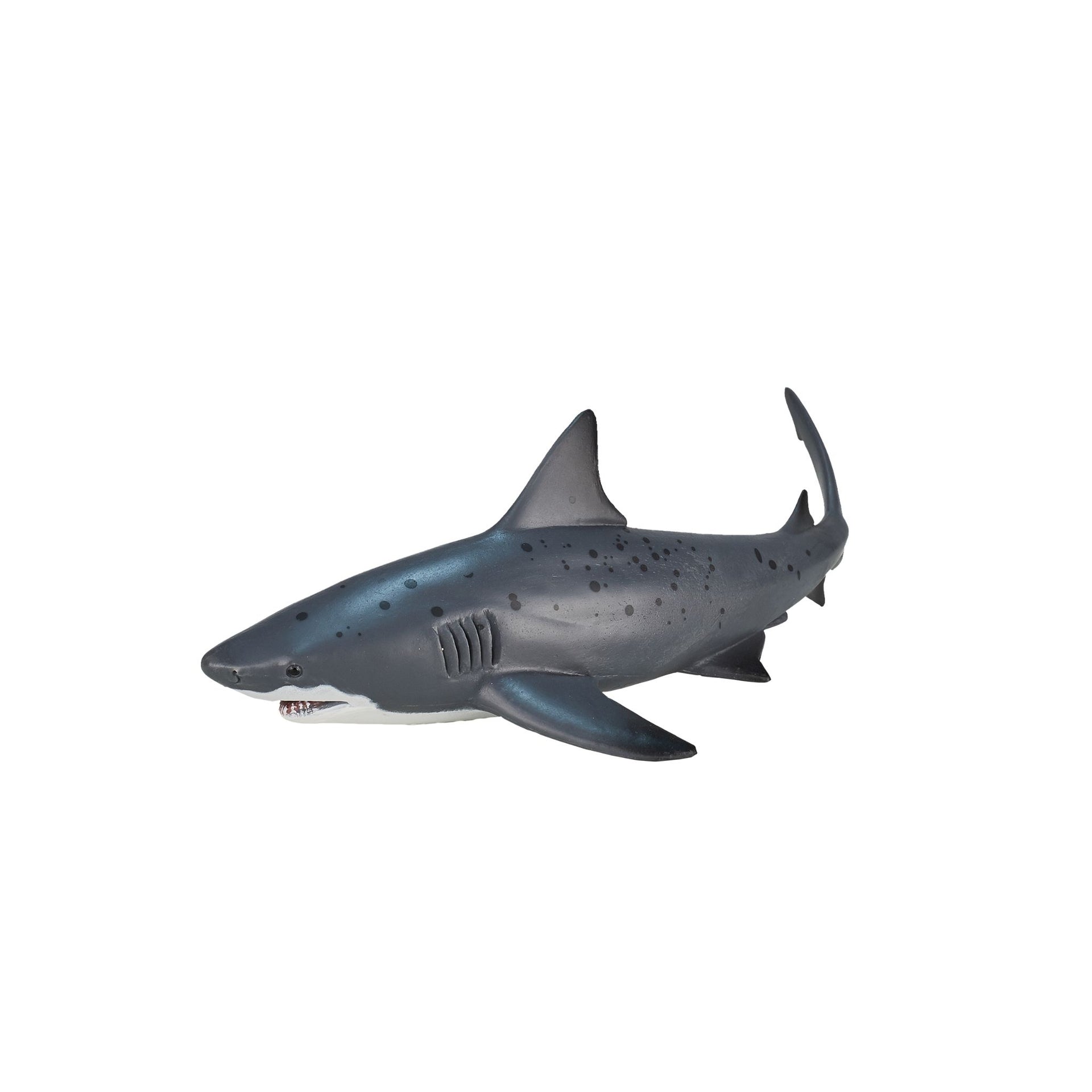 Mojo Bull Shark