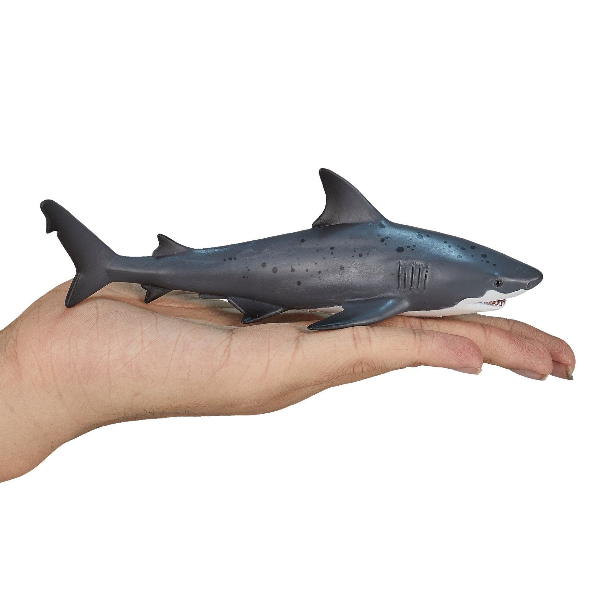 Mojo Bull Shark