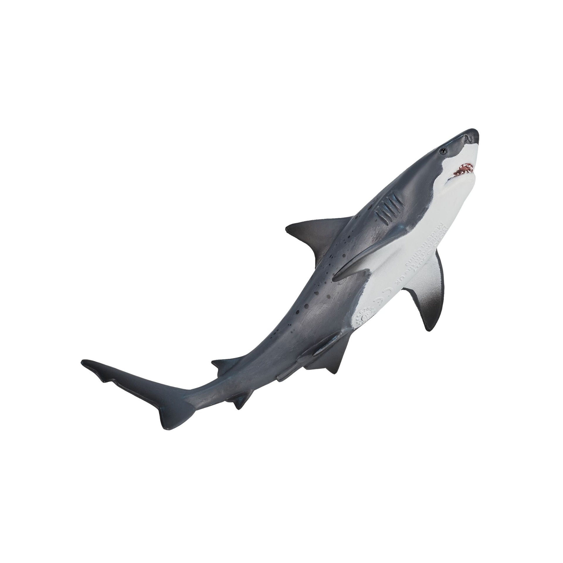 Mojo Bull Shark
