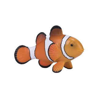 Mojo Clown Fish