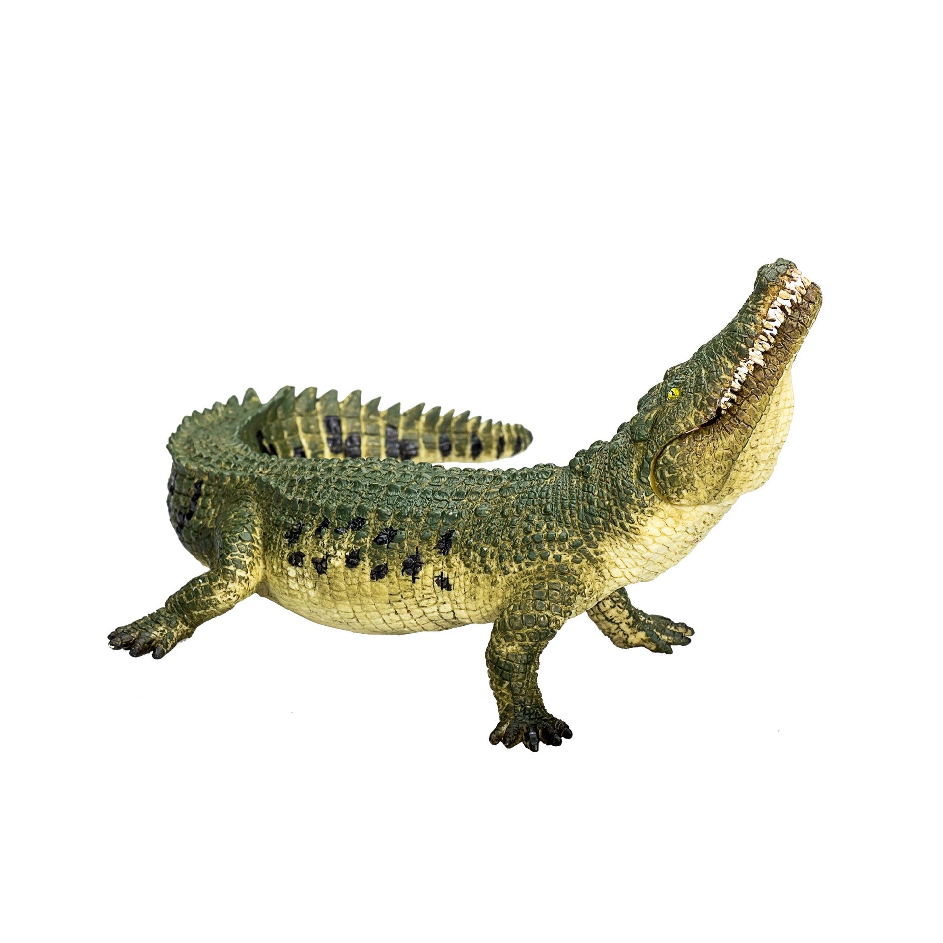 Mojo Crocodile with Articulated Jaw