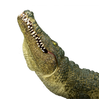 Mojo Crocodile with Articulated Jaw