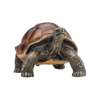 Mojo Giant Tortoise
