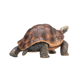 Mojo Giant Tortoise