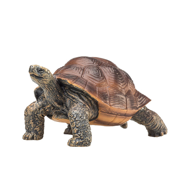 Mojo Giant Tortoise
