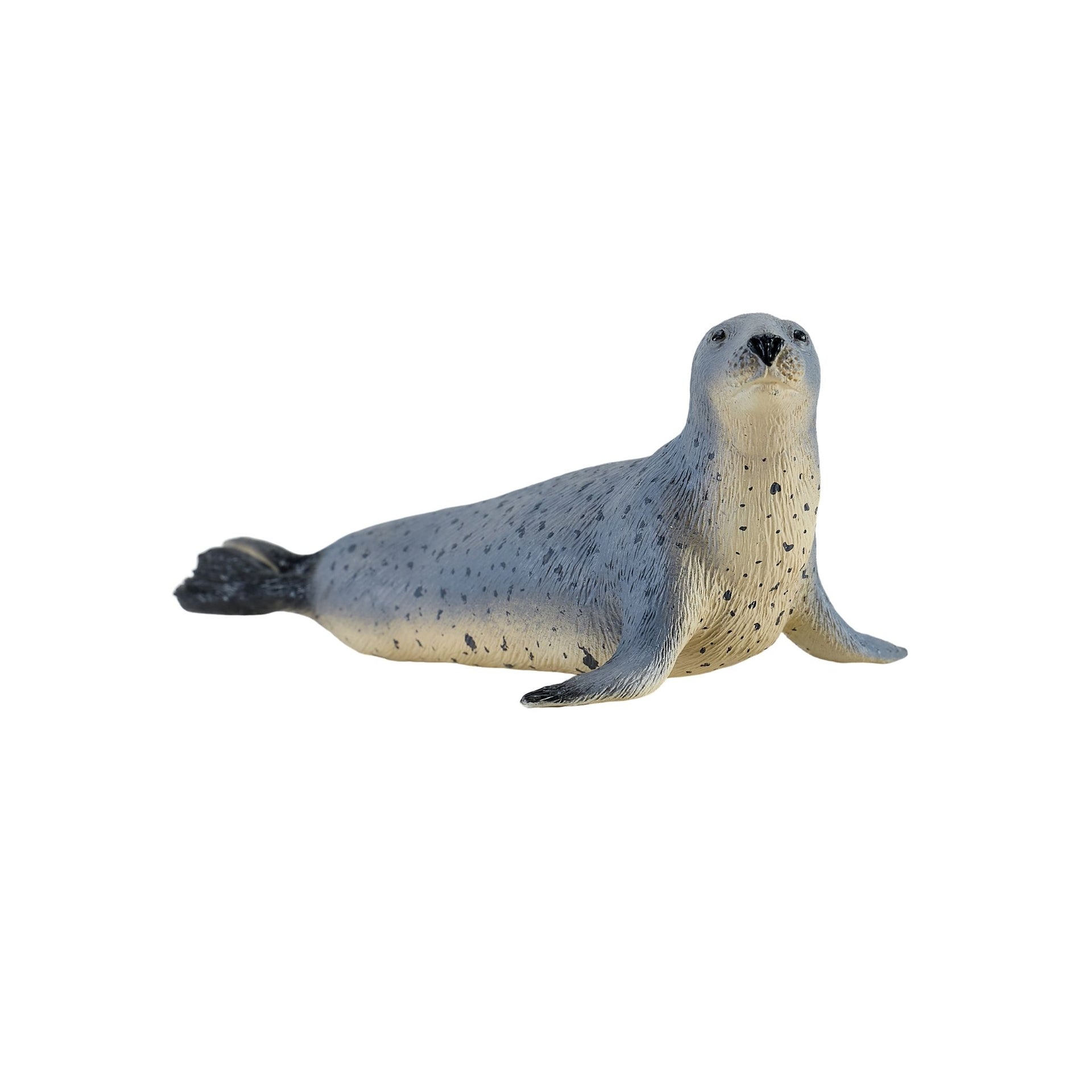 Mojo Grey Seal