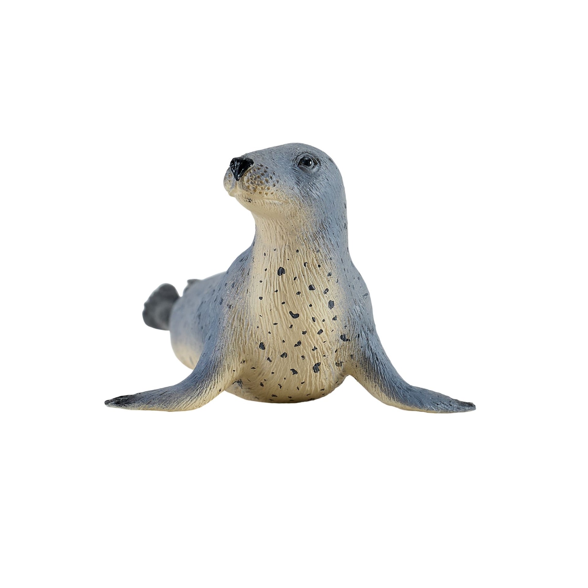 Mojo Grey Seal
