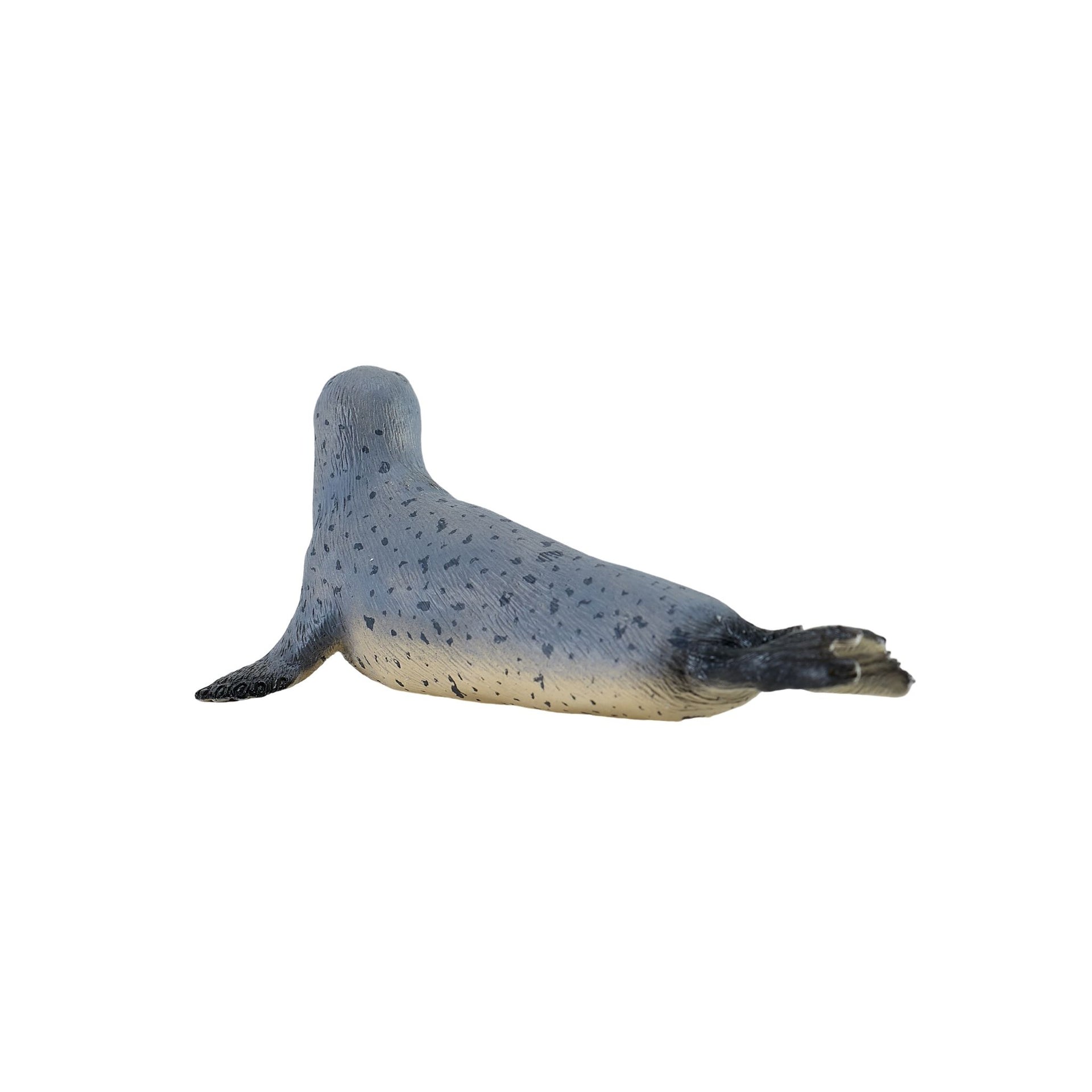 Mojo Grey Seal
